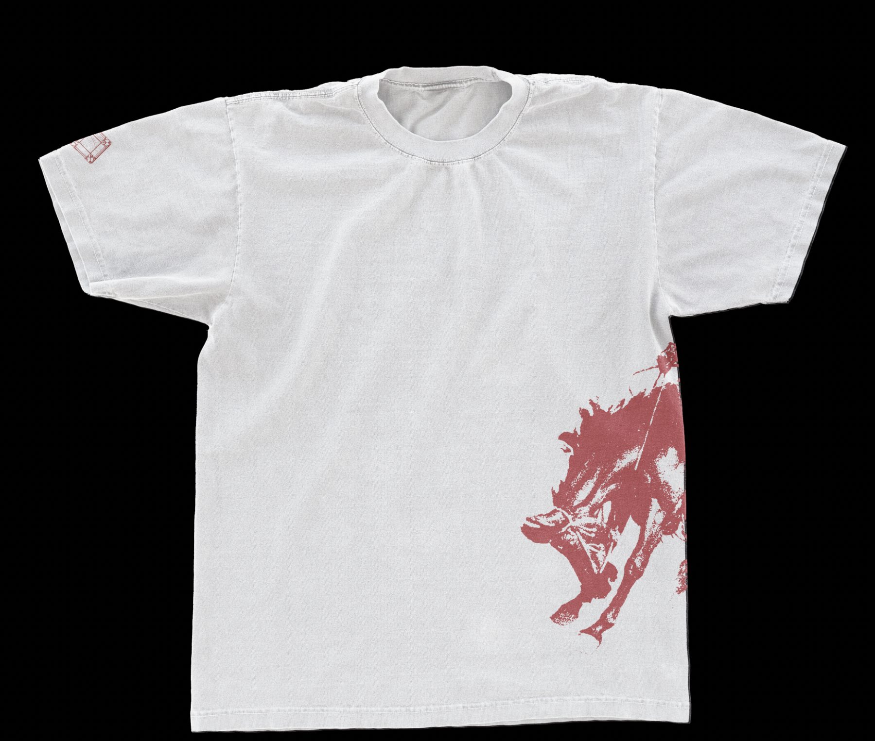 Fig. 01 | Back and hip print